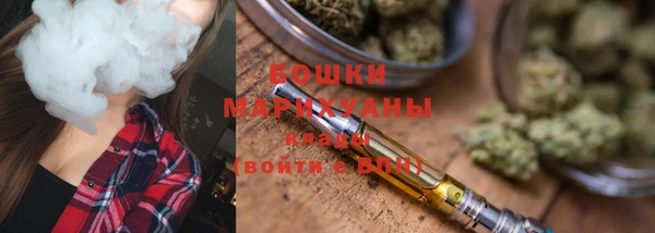PSILOCYBIN Инсар