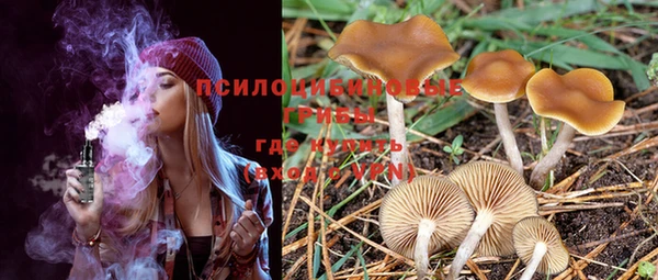 PSILOCYBIN Инсар