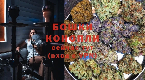 PSILOCYBIN Инсар