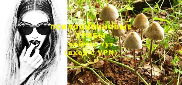 PSILOCYBIN Инсар