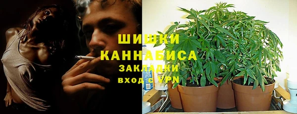 PSILOCYBIN Инсар
