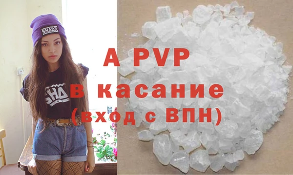 PSILOCYBIN Инсар