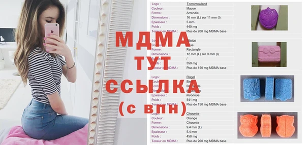PSILOCYBIN Инсар