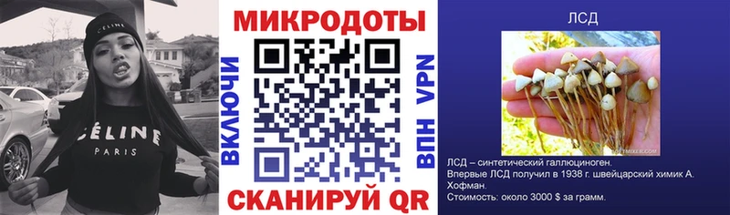 Купить закладки  Данков  Псилоцибиновые грибы Magic Shrooms 